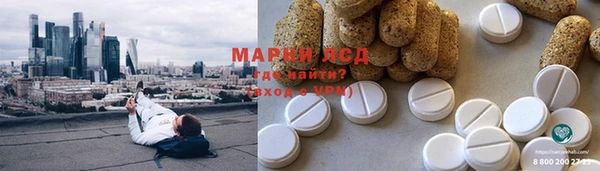 индика Новодвинск