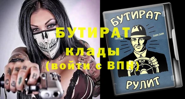 индика Новодвинск