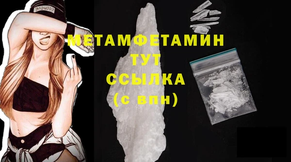 индика Новодвинск