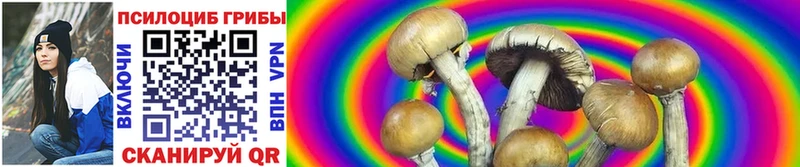 Псилоцибиновые грибы MAGIC MUSHROOMS hydra рабочий сайт Котовск