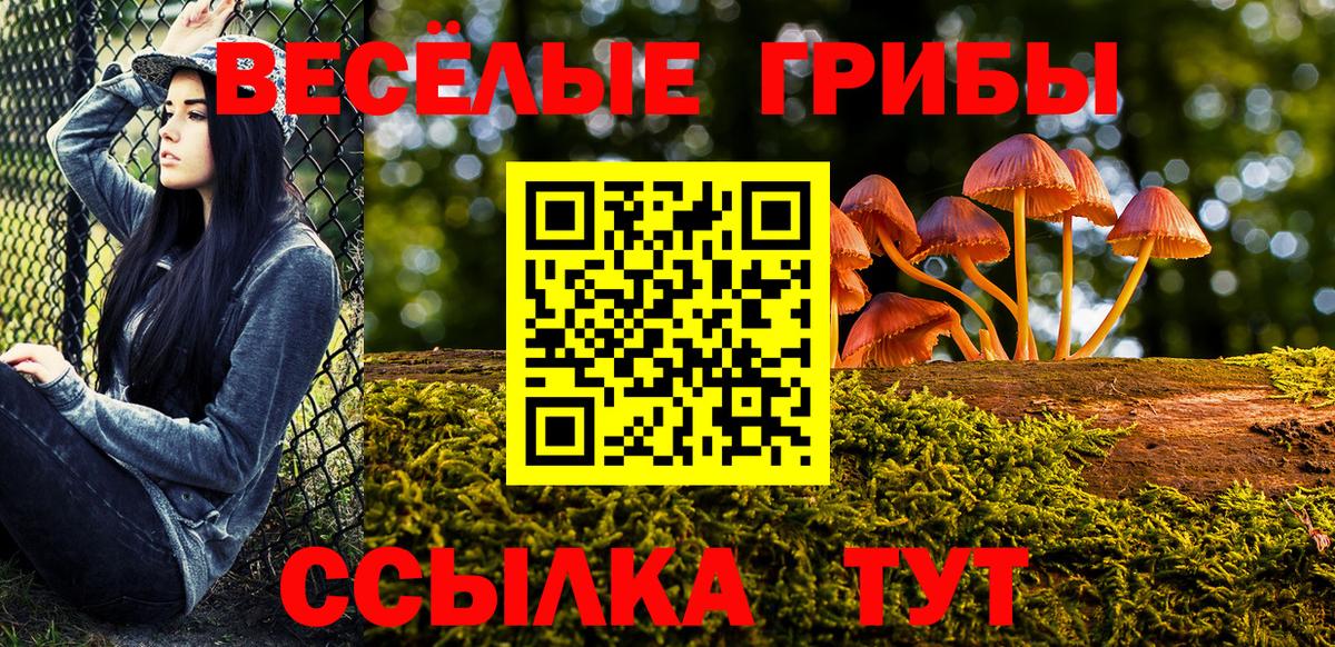 Псилоцибиновые грибы прущие грибы  Вход с VPN  купить закладку  Котовск 