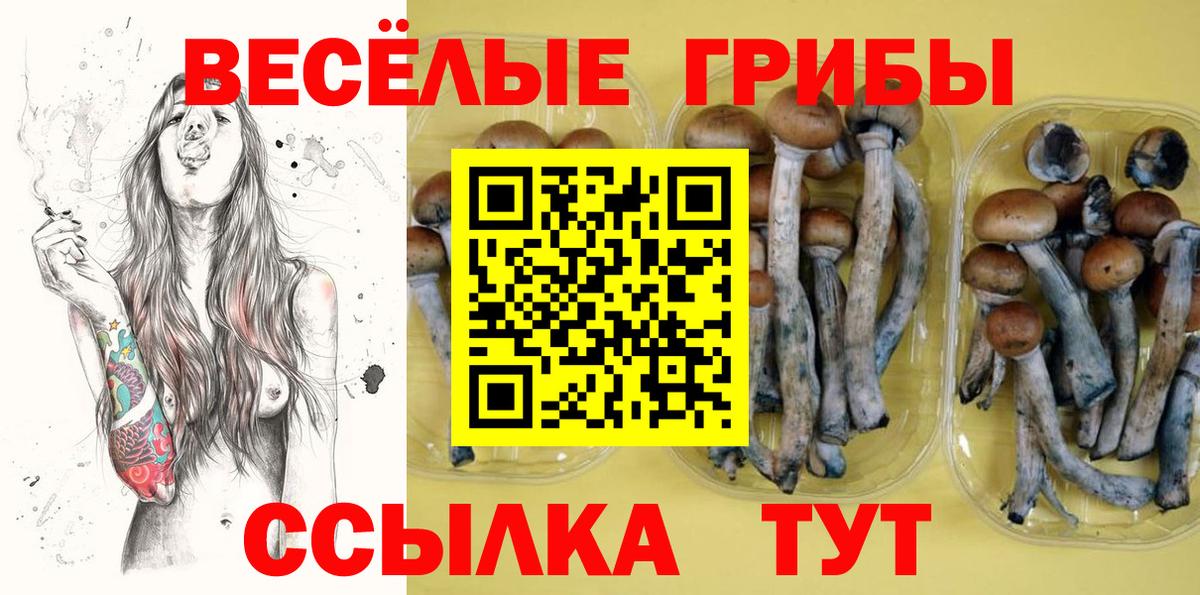 Галлюциногенные грибы GOLDEN TEACHER Котовск