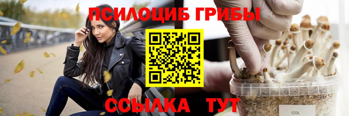 Псилоцибиновые грибы Magic Shrooms  Котовск 